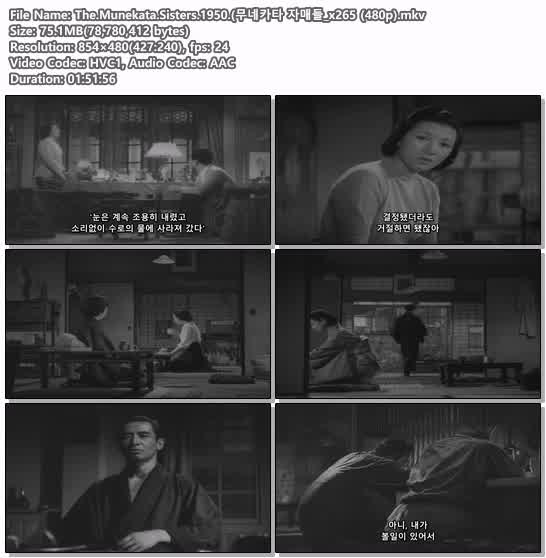 The.Munekata.Sisters.1950.(무네카타 자매들_x265 (480p)