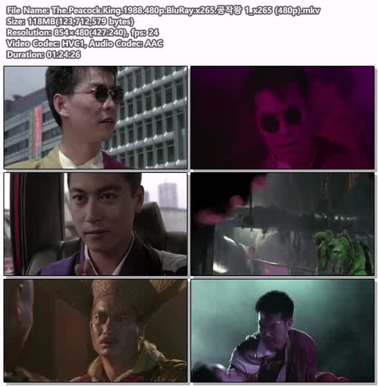 The.Peacock.King.1988.480p.BluRay.x265.공작왕 1_x265 (480p)