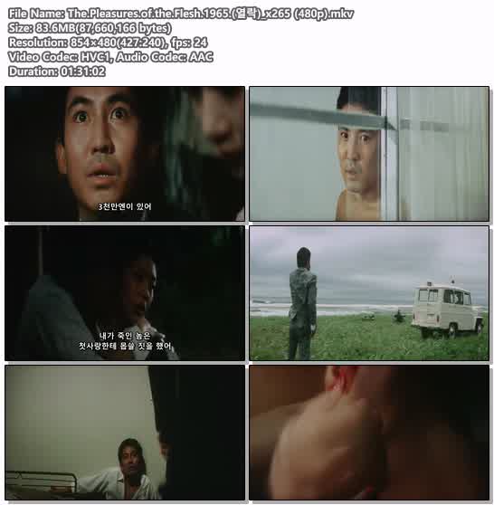 The.Pleasures.of.the.Flesh.1965.(열락)_x265 (480p)