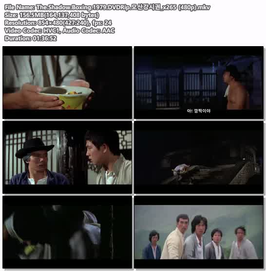 The.Shadow.Boxing.1979.DVDRip.모산강시권_x265 (480p)