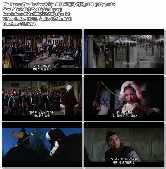 The.Shadow.Whip.1971.그림자 채찍_x265 (480p)