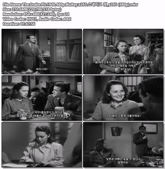 The.Snake.Pit.1948.480p.BluRay.x265.스네이크 핏_x265 (480p)
