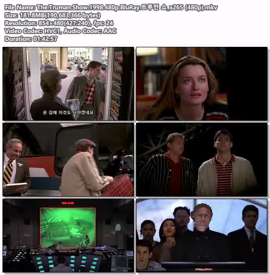 The.Truman.Show.1998.480p.BluRay.트루먼 쇼_x265 (480p)
