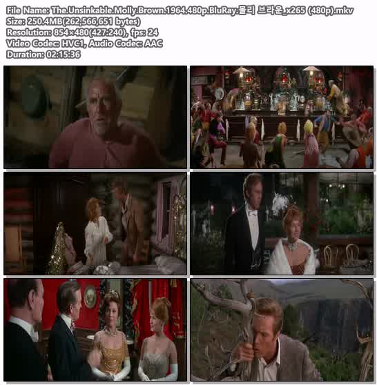 The.Unsinkable.Molly.Brown.1964.480p.BluRay.몰리 브라운_x265 (..