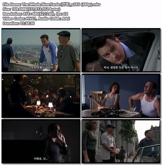 The.Whole.Nine.Yards.(전부)_x265 (480p)