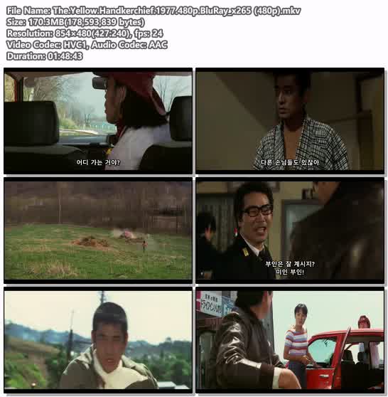 The.Yellow.Handkerchief.1977.480p.BluRay_x265 (480p)