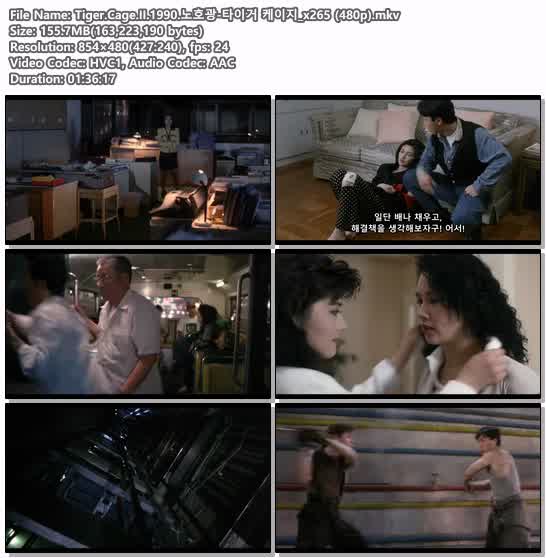 Tiger.Cage.II.1990.노호광-타이거 케이지_x265 (480p)