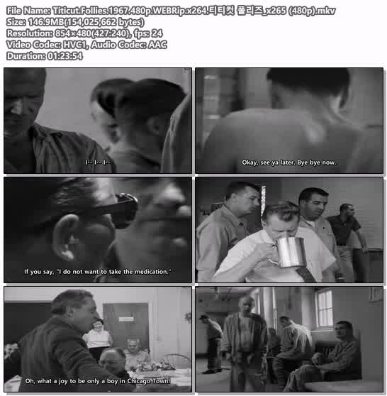 Titicut.Follies.1967.480p.WEBRip.x264.티티컷 폴리즈_x265 (480p)