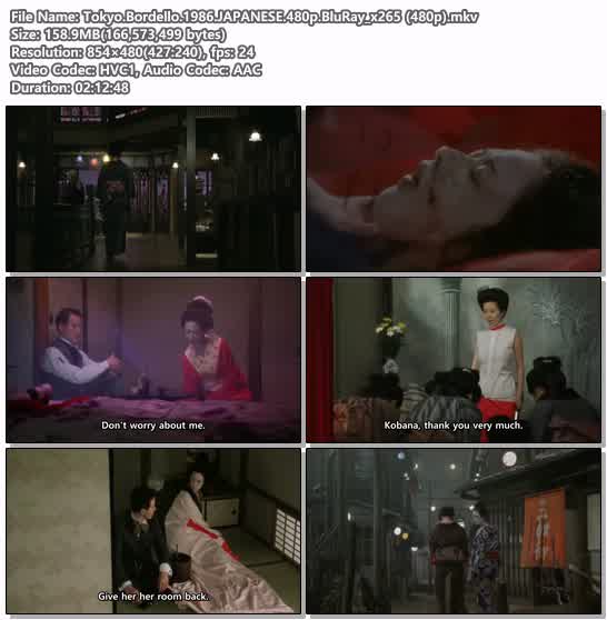 Tokyo.Bordello.1986.JAPANESE.480p.BluRay_x265 (480p)