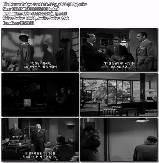 Tokyo.Joe.1949.480p_x265 (480p)