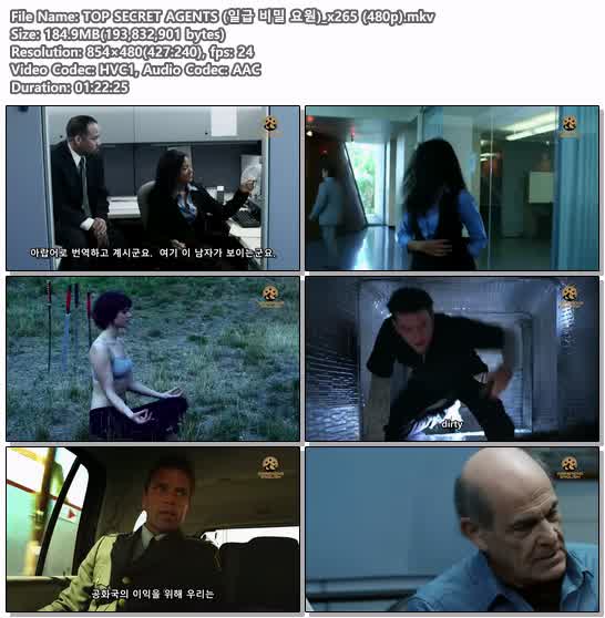 TOP SECRET AGENTS (일급 비밀 요원)_x265 (480p)