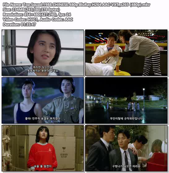 Top.Squad.1988.CHINESE.480p.BluRay.H264.AAC-VXT_x265 (480p)