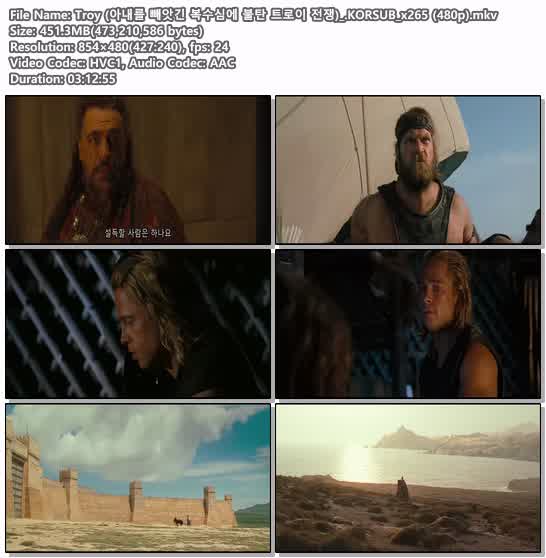 Troy (아내를 빼앗긴 복수심에 불탄 트로이 전쟁)_.KORSUB_x265 (4..