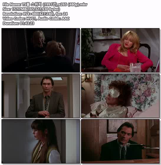 TS물 스위치 (1991년)_x265 (480p)