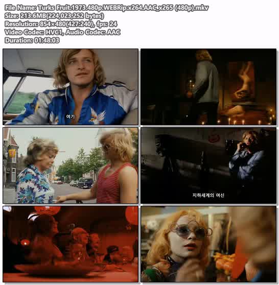 Turks Fruit.1973.480p.WEBRip.x264.AAC_x265 (480p)