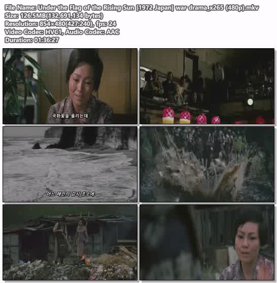 Under the Flag of the Rising Sun [1972 Japan] war drama_x265 (..