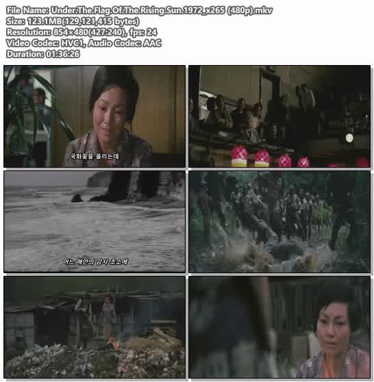 Under.The.Flag.Of.The.Rising.Sun.1972_x265 (480p)