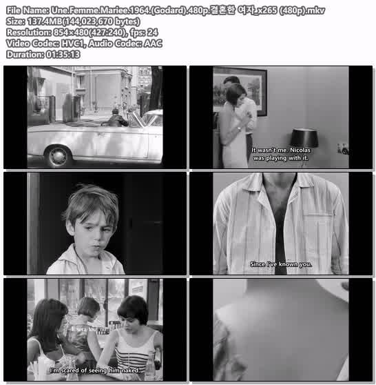 Une.Femme.Mariee.1964.(Godard).480p.결혼한 여자_x265 (480p)