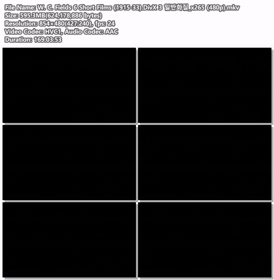 W. C. Fields 6 Short Films (1915-33).DivX 3 일반화질_x265 (480p)
