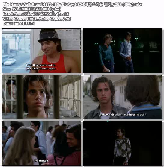 Walk.Proud.1978.480p.BluRay.H264.자랑스러운 걷기_x265 (480p)