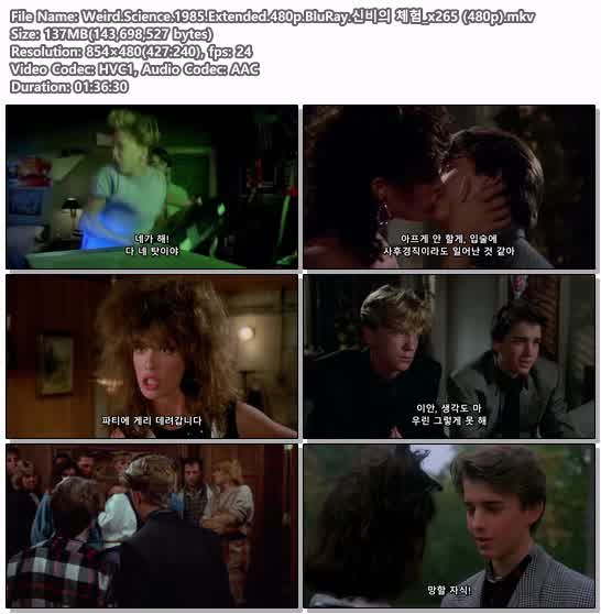 Weird.Science.1985.Extended.480p.BluRay.신비의 체험_x265 (480p)