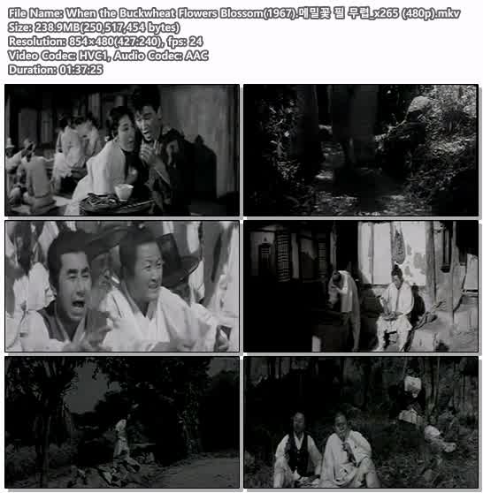 When the Buckwheat Flowers Blossom(1967).메밀꽃 필 무렵_x265 (..