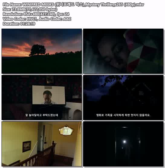 WINIFRED MEEKS (위니프레드 믹스)_Mystery Thriller_x265 (480p)