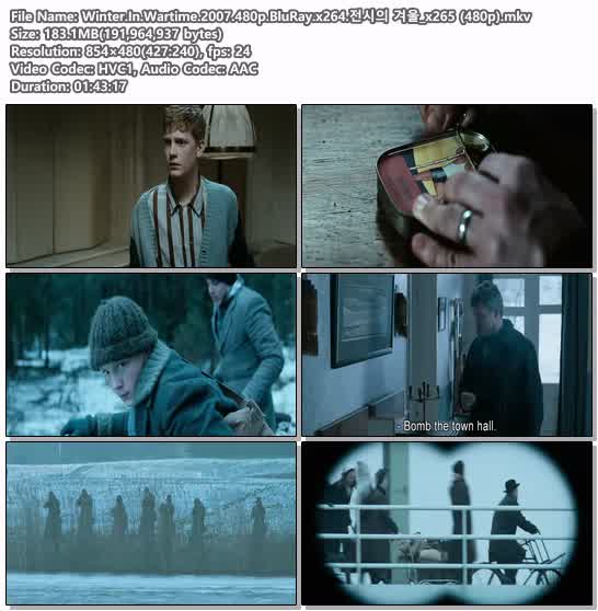 Winter.In.Wartime.2007.480p.BluRay.x264.전시의 겨울_x265 (480p)