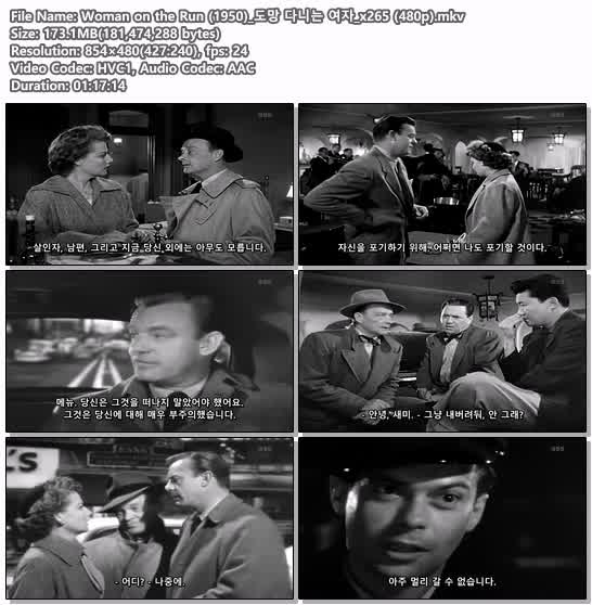 Woman on the Run (1950)_도망 다니는 여자_x265 (480p)