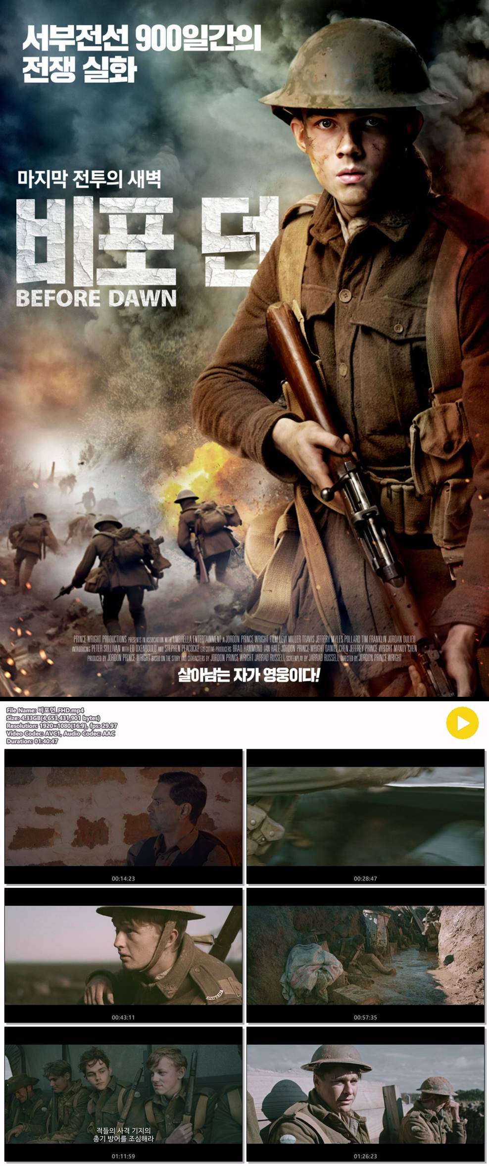 [비포 던] 서부전선 900일간의 전쟁 실화 마지막 전투의 새벽
