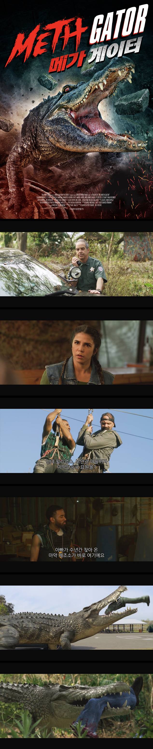 [메가 게이터] FHD 플로리다 섬, 약에 취한 악어가 나타났다