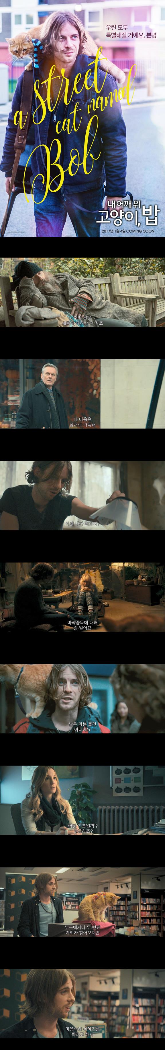 [내 어깨 위 고양이 밥]FHD 우린 모두 특별해질 거예요 분명