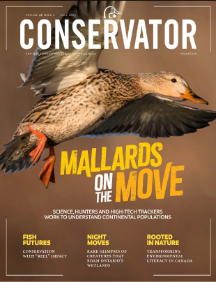 [매거진] Conservator Fall 2025