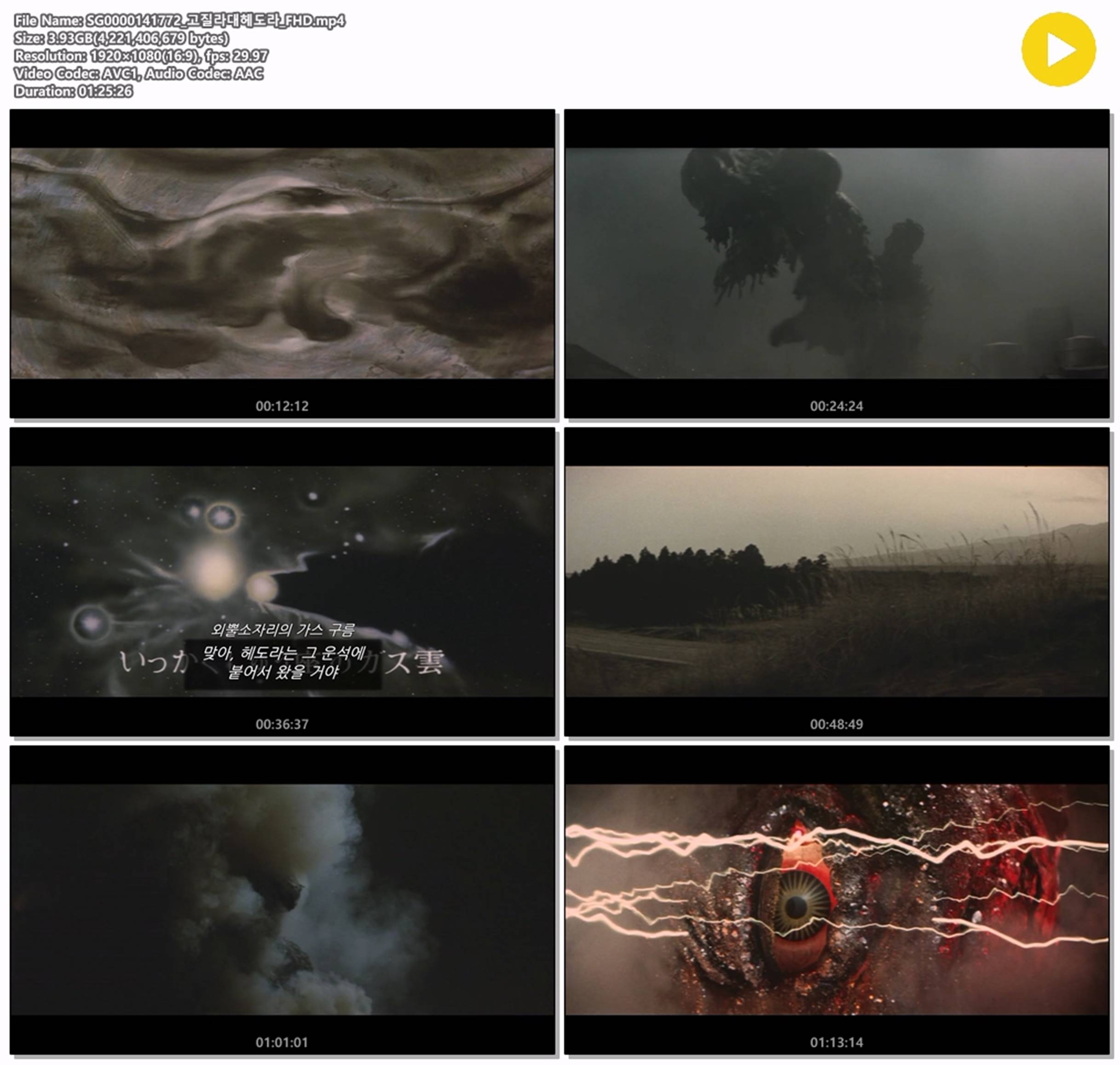 [고질라 대 헤도라]