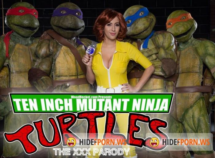 대박재미 올노 실삽 닌자거북이 패러디