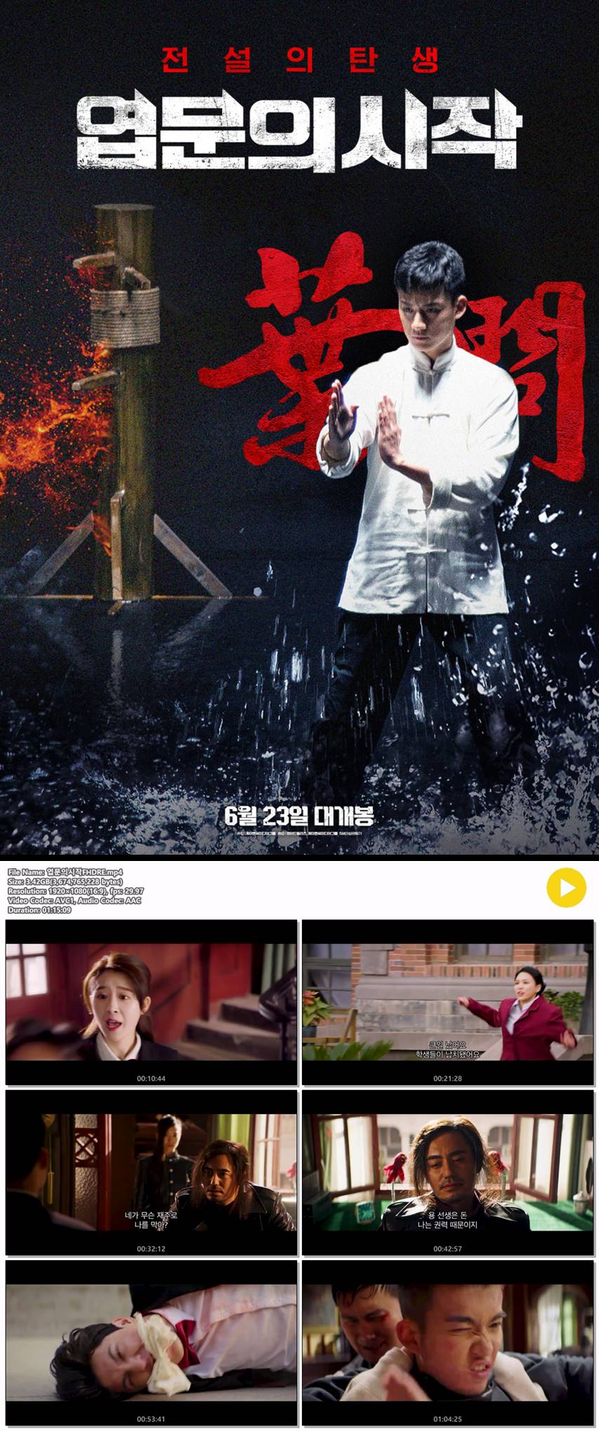 [엽문의 시작] 탈옥범 일행을 막기위한 고군분투