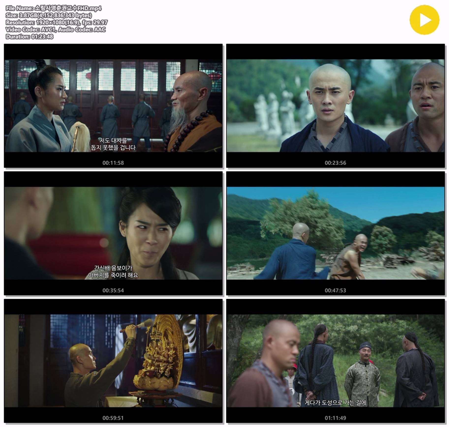 [소림사 영춘권 고수]