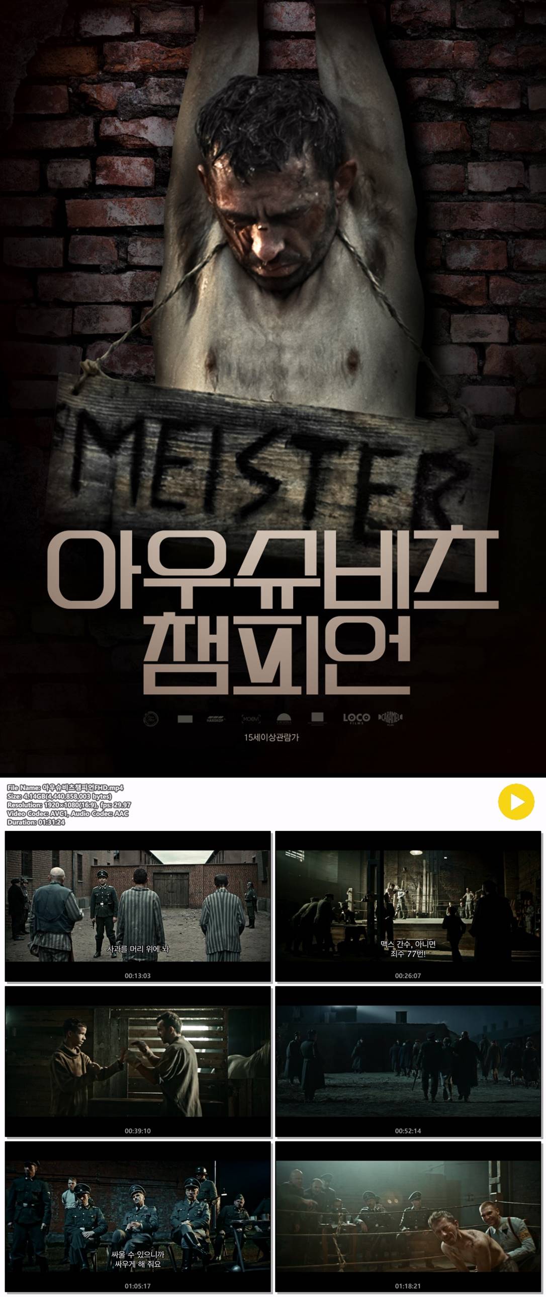 [아우슈비츠 챔피언] 수용소로 끌려간 폴란드 태생 복서