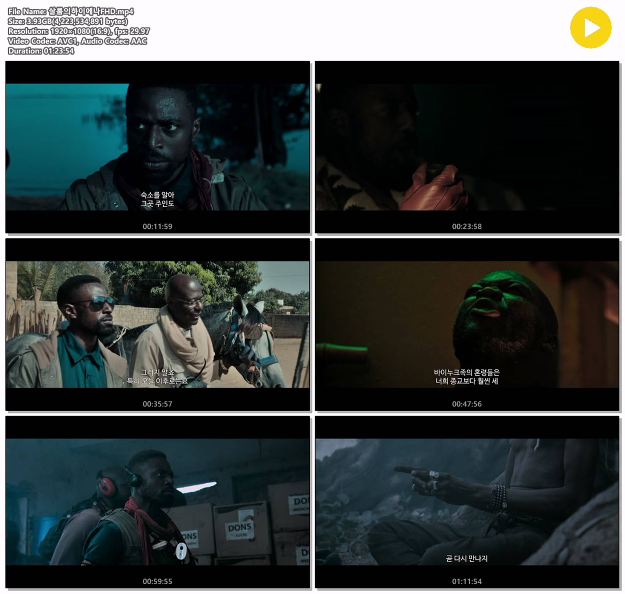 [살룸의 하이에나]