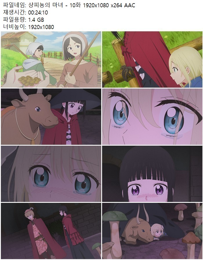 샹피뇽의 마녀 - 10화 1920x1080 x264 AAC