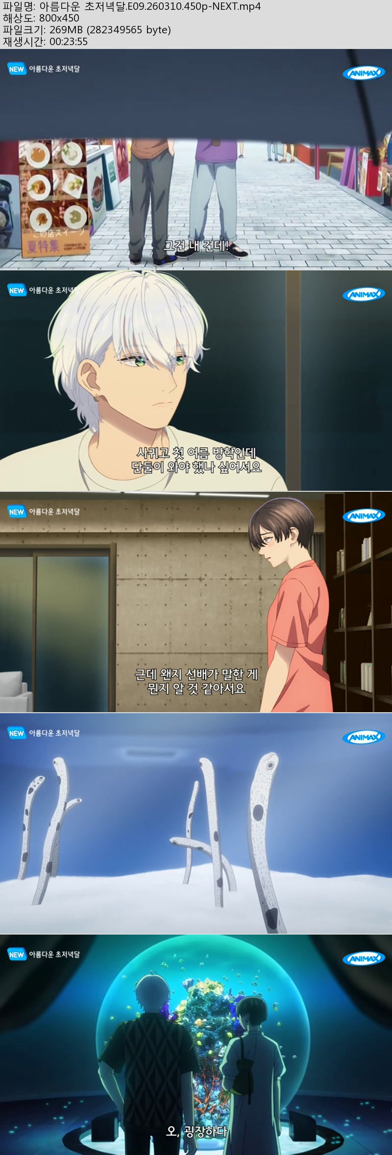 아름다운 초저녁달.E09.260310.450p-NEXT