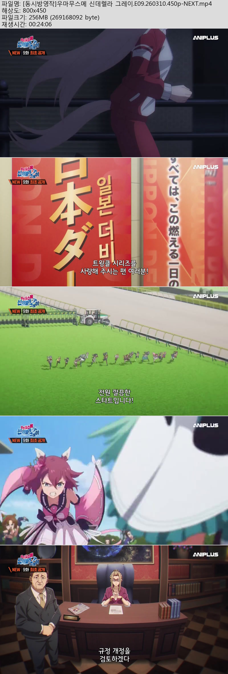 [동시방영작]우마무스메 신데렐라 그레이.E09.260310.450p-NEXT