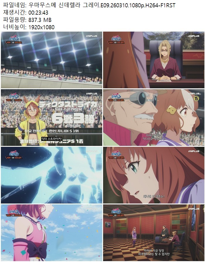 우마무스메 신데렐라 그레이.E09.260310.1080p.H264-F1RST