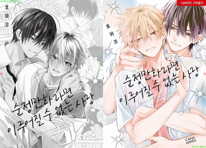 [BL만화] 호와코 - 순정만화라면 이루어질 수 없는 사랑. 하권[냥..