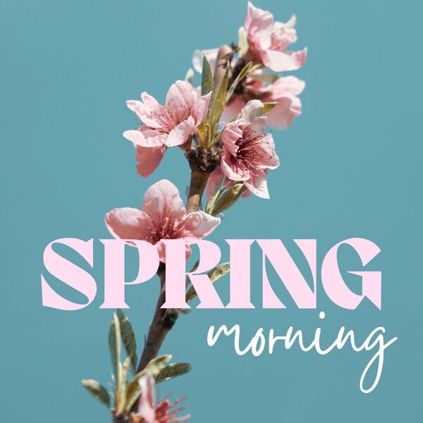 Various Artists [2026 Spring Morning] (FLAC 16Bit-44kHz)