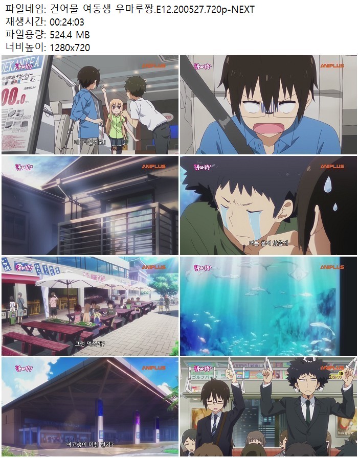 건어물 여동생 우마루짱.E12.200527.720p-NEXT