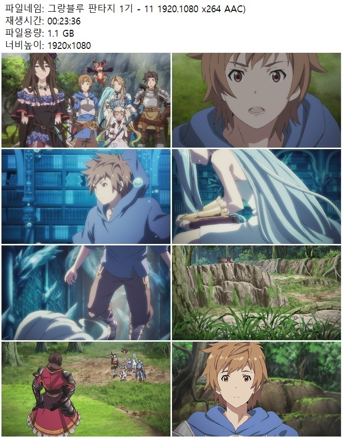 그랑블루 판타지 1기 - 11 1920.1080 x264 AAC)