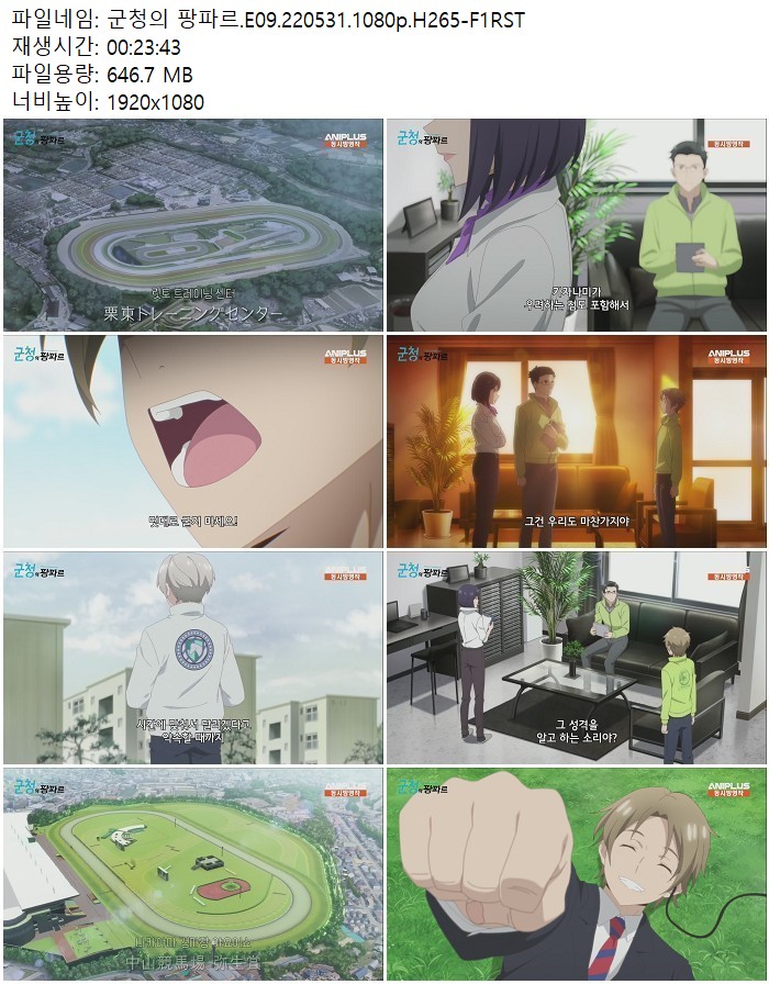 군청의 팡파르.E09.220531.1080p.H265
