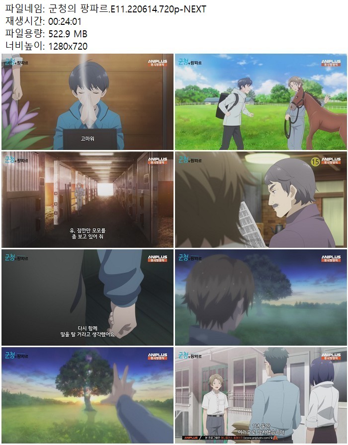 군청의 팡파르.E11.220614.720p-NEXT