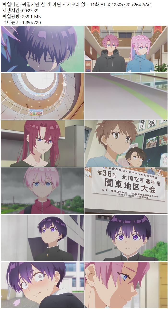 귀엽기만 한 게 아닌 시키모리 양 - 11화 AT-X 1280x720 x264 AAC